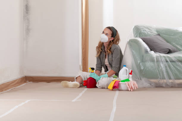 Reliable Mold Cleanup contractor in Curwensville, PA by Cheap Mold Removal